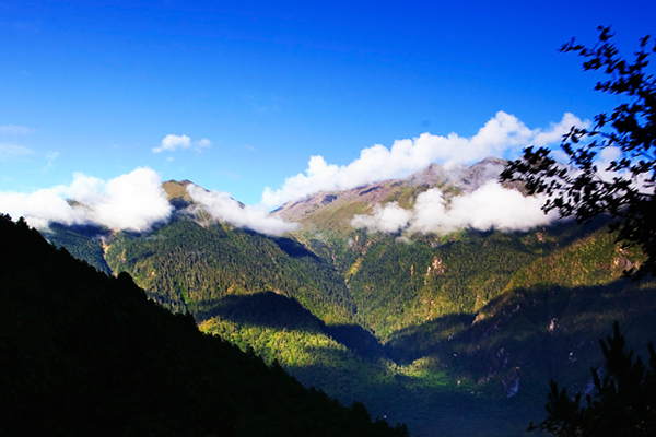 林芝-苯日神山-大峽谷-南伊溝-巴松錯-篝火錯3日游