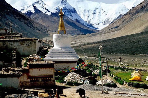 上海到拉薩飛機