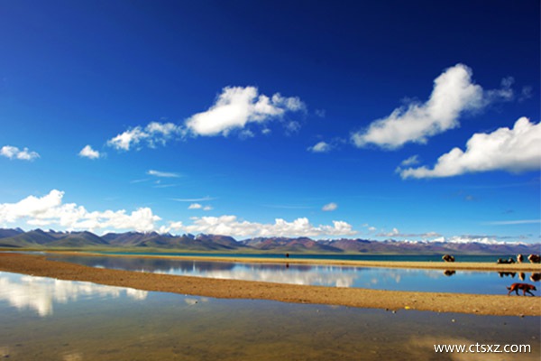 怎樣到西藏旅游