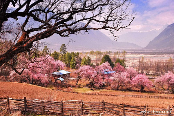達州到拉薩旅游費用