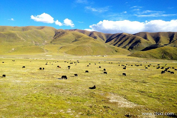 坐火車去拉薩攻略