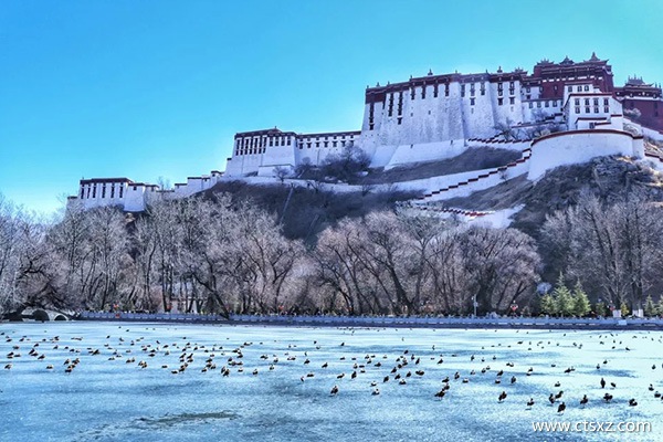 西藏旅游一月份能去嗎