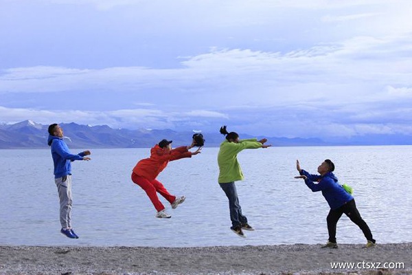 西藏品質游旋子