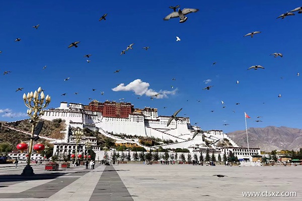 西藏拉薩有高原反應嗎