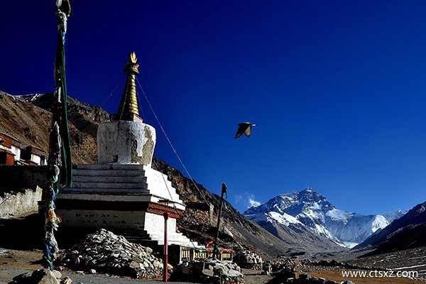 西藏坤泰旅行社靠譜嗎