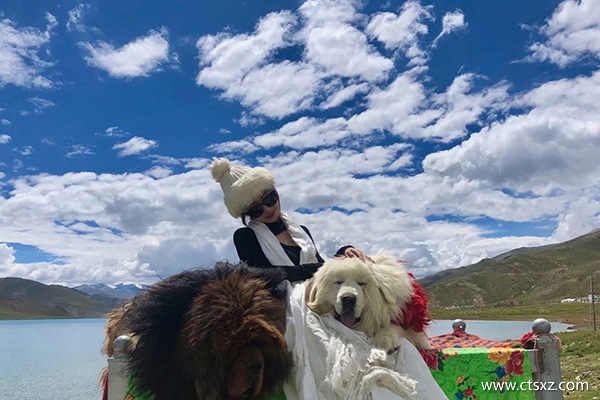 西藏旅游團報價7日游