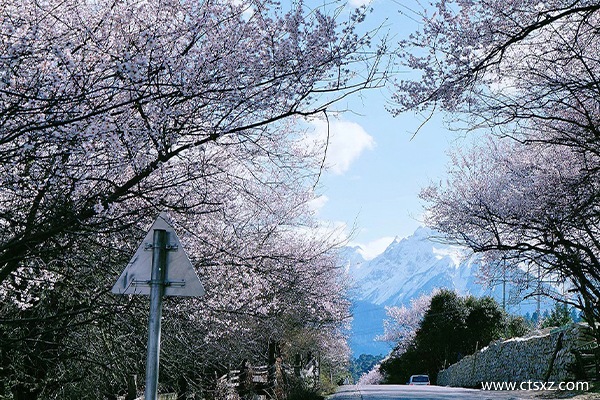 去西藏旅游團多少錢