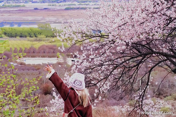 西藏林芝旅游團(tuán)報(bào)價(jià)