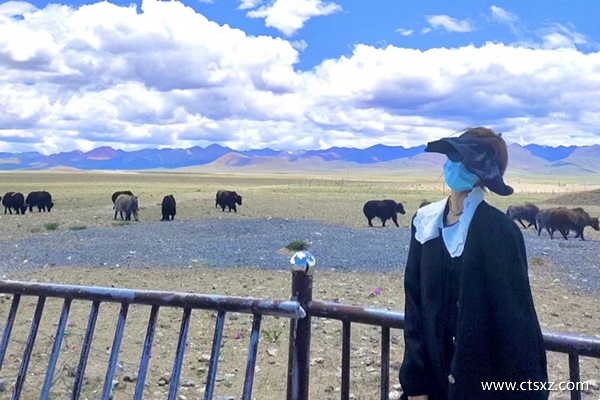 重慶到西藏跟團多少錢