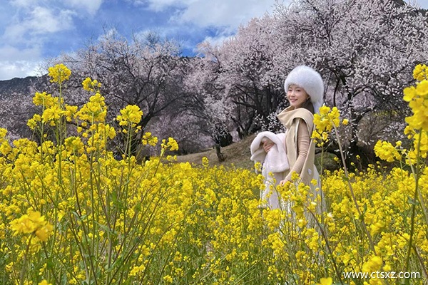 跟團(tuán)去西藏的費用