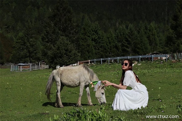 跟團(tuán)去西藏的費用