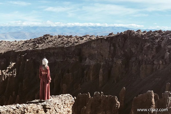跟團去西藏旅游大概多少錢一天啊