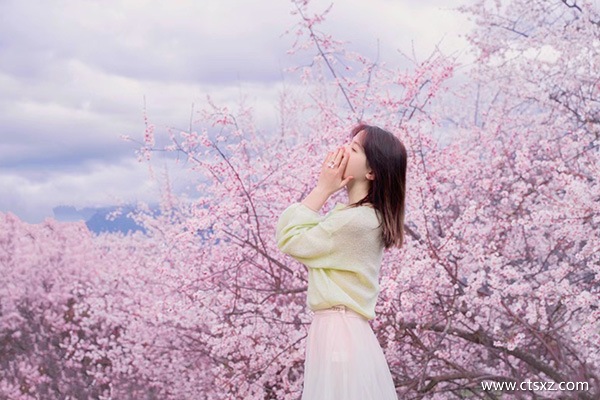 跟團去西藏玩一趟大概要多少錢