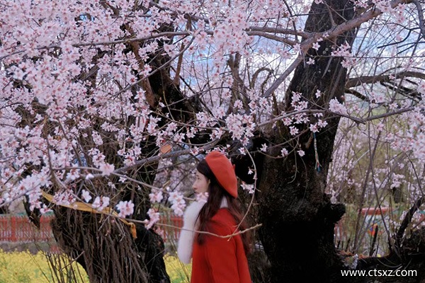 去西藏跟團(tuán)價(jià)格多少錢(qián)