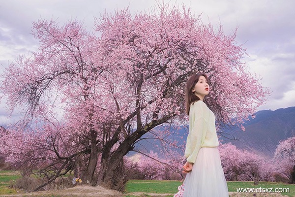 跟團(tuán)去西藏玩一趟多少錢