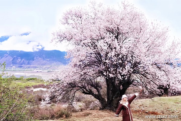 杭州去西藏七日游報團價格