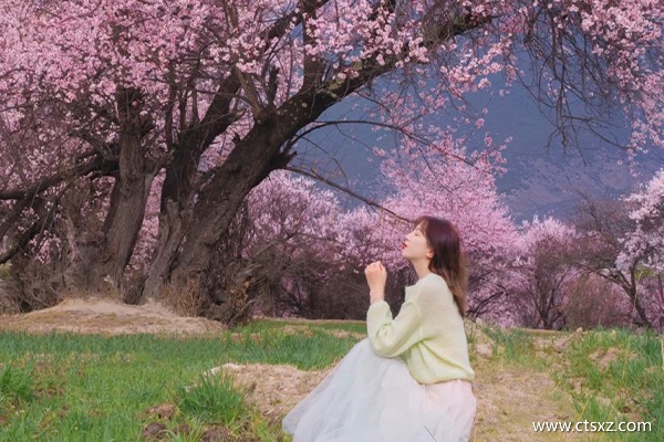 進(jìn)西藏旅游注意事項