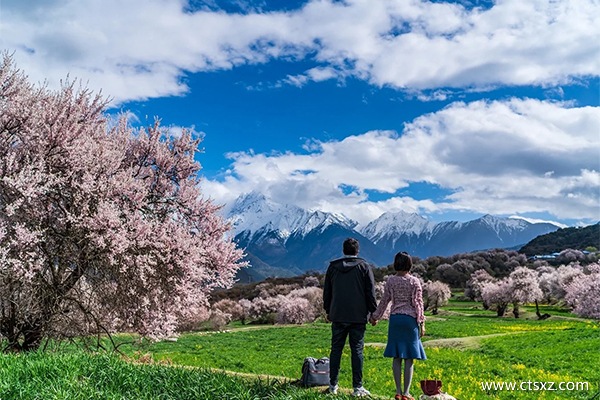 西藏報團游七日行程