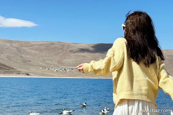 西藏7天6晚旅行社報價